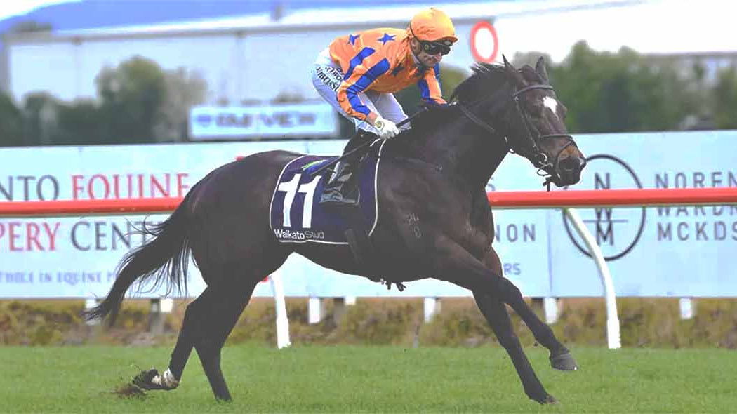 Imperatriz Retirment