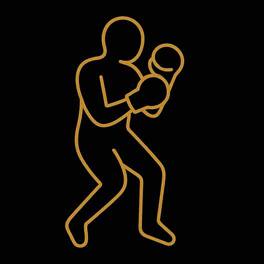 Combat-sport-wall-art