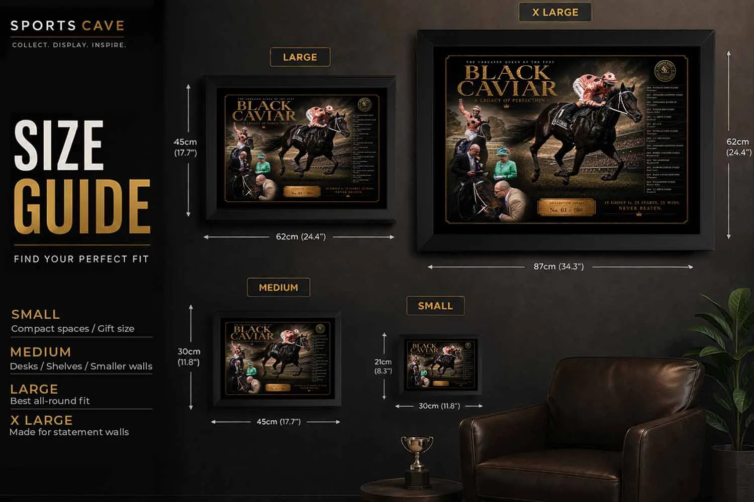 Size guide for Black Caviar framed sports art showing small, medium, large and extra large display options.