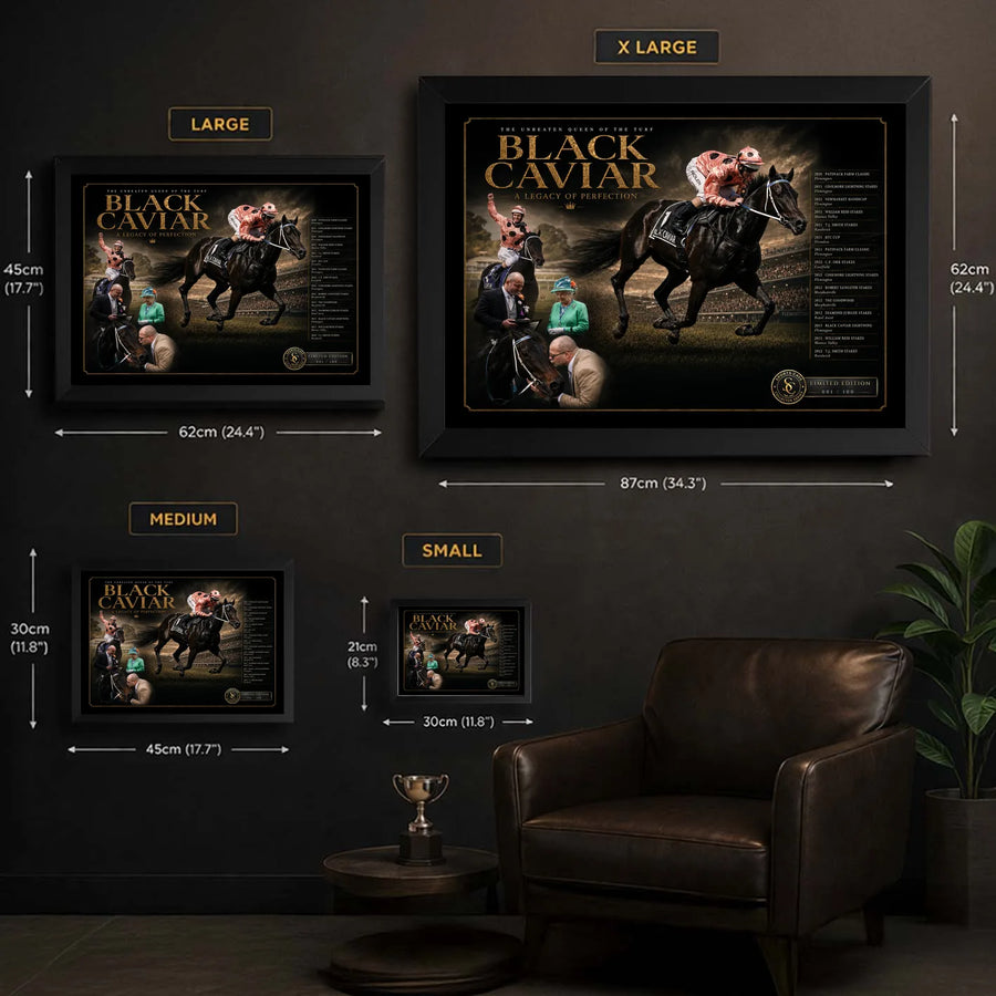 Black Caviar framed horse racing wall art size guide showing Small, Medium, Large and XL display dimensions.