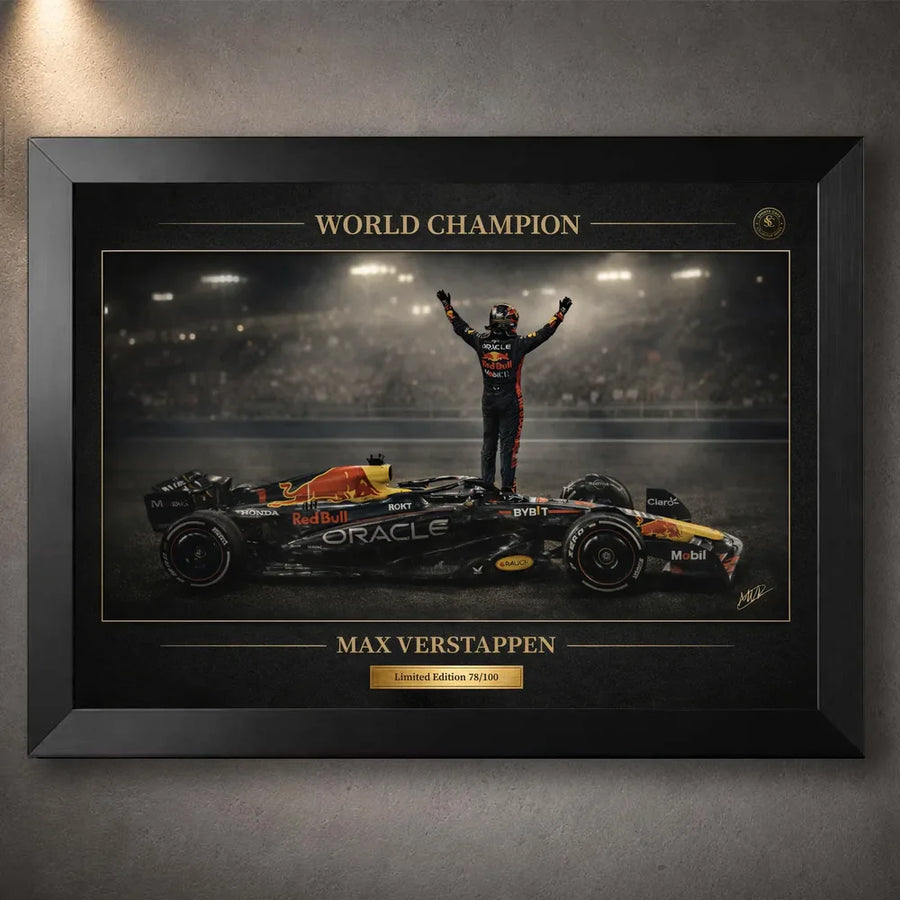 Framed motorsport wall art product image.