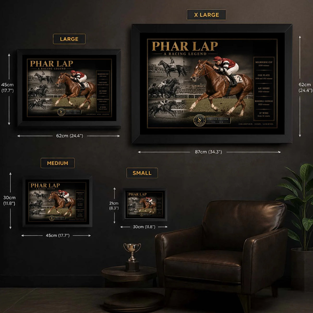 Phar Lap horse racing wall art size guide showing Small, Medium, Large and X Large framed display proportions.