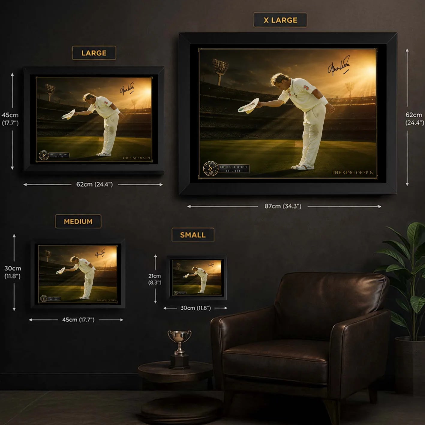 Shane Warne cricket wall art size guide comparing small, medium, large and extra-large framed dimensions.