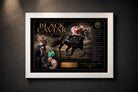 Black Caviar premium sports collectibles displayed in a clean white frame with luxury gallery styling.