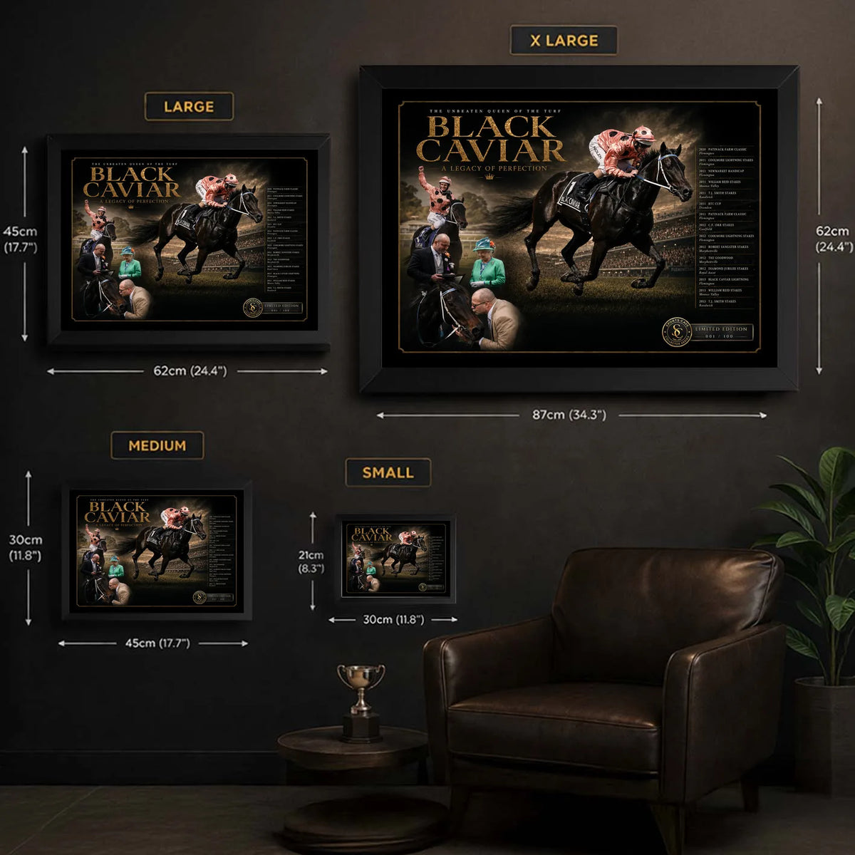 Black Caviar framed horse racing wall art size guide showing Small, Medium, Large and XL display dimensions.