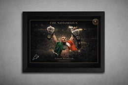Conor Mcgregor The Notorious Wall Art