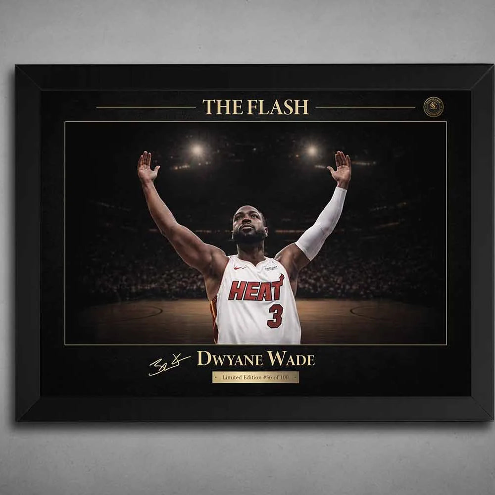 Dwyane Wade Miami Heat Wall Art