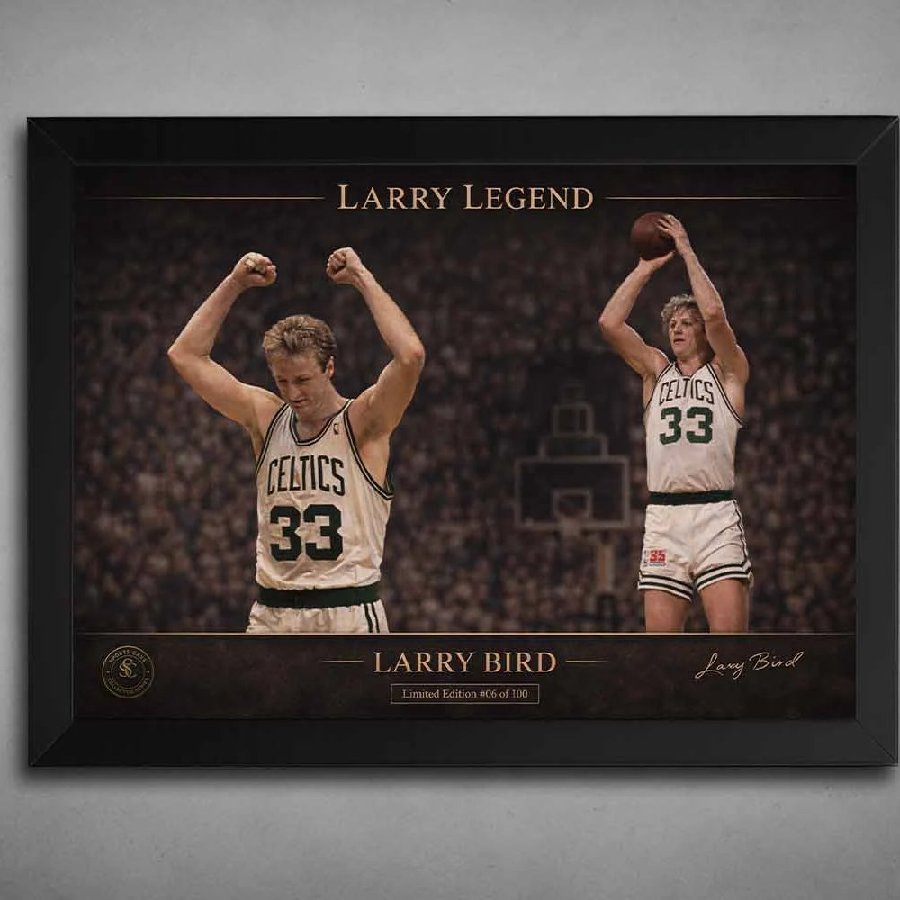 Larry Bird Wall Art