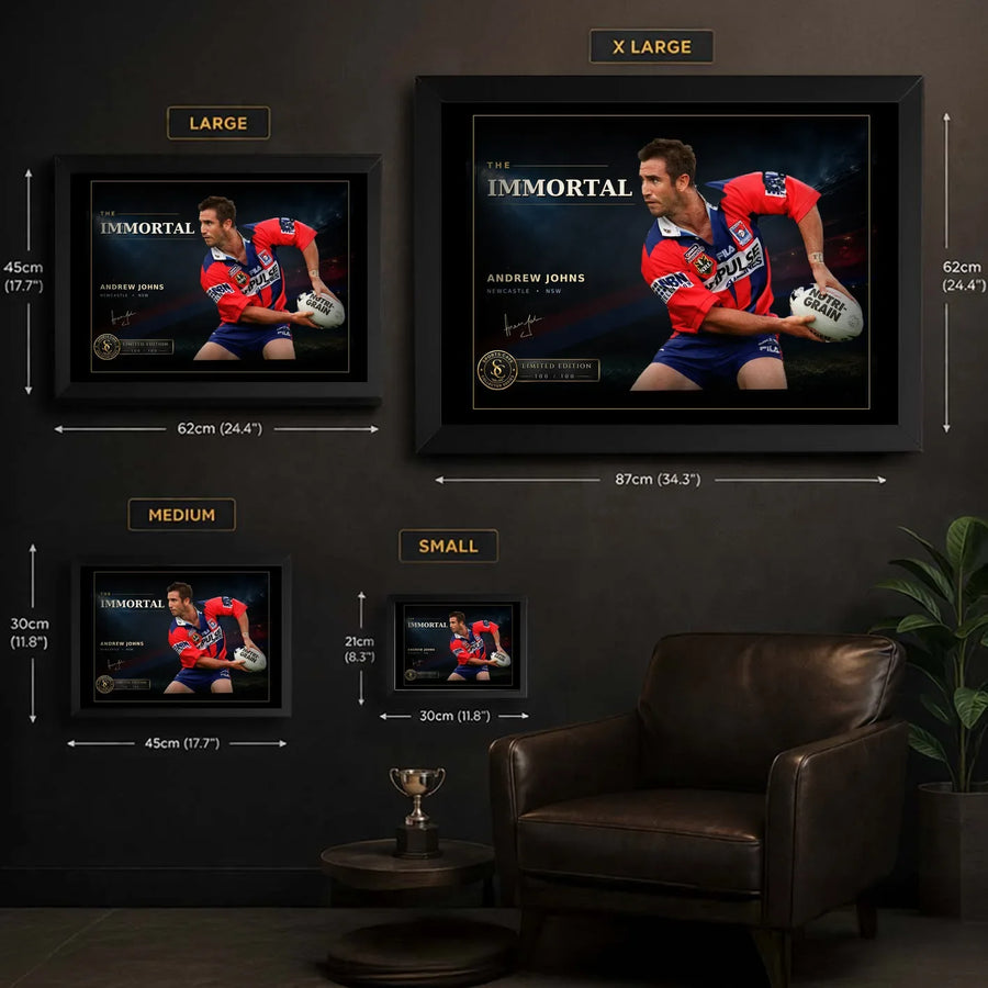 Andrew Johns wall art size guide showing Small, Medium, Large and X Large framed dimensions for The Immortal design.